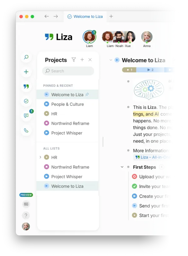Liza projects